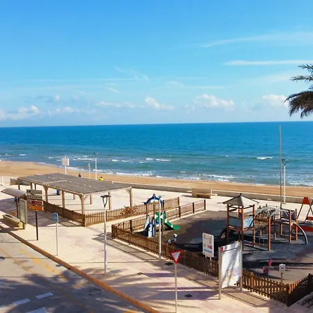 Viva * 贝利雷瓜尔德