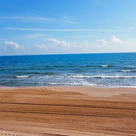 Viva * 贝利雷瓜尔德